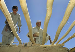 アフガニスタンに帰還し住宅を再建する人々